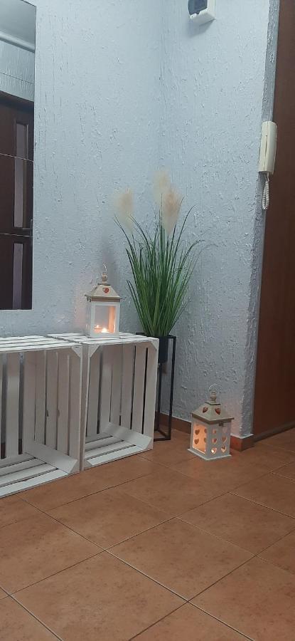 Flowers Apartament Daire Piła Dış mekan fotoğraf