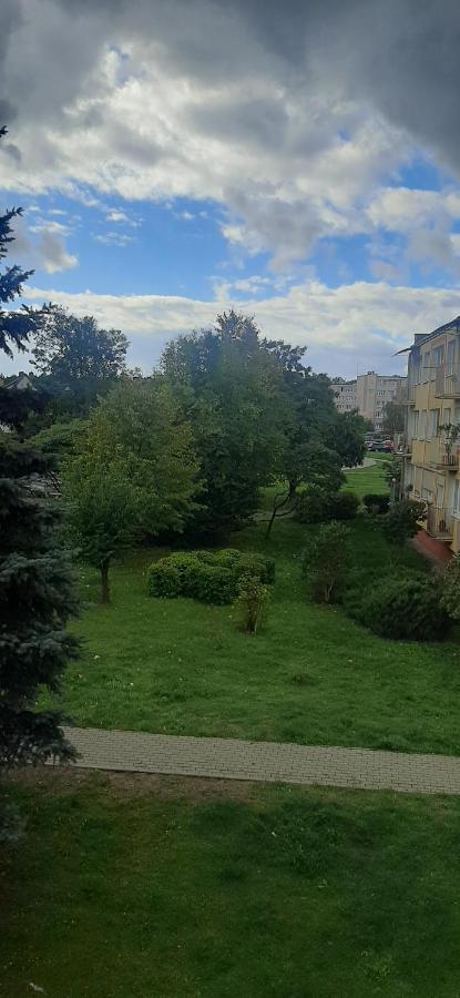 Flowers Apartament Daire Piła Dış mekan fotoğraf